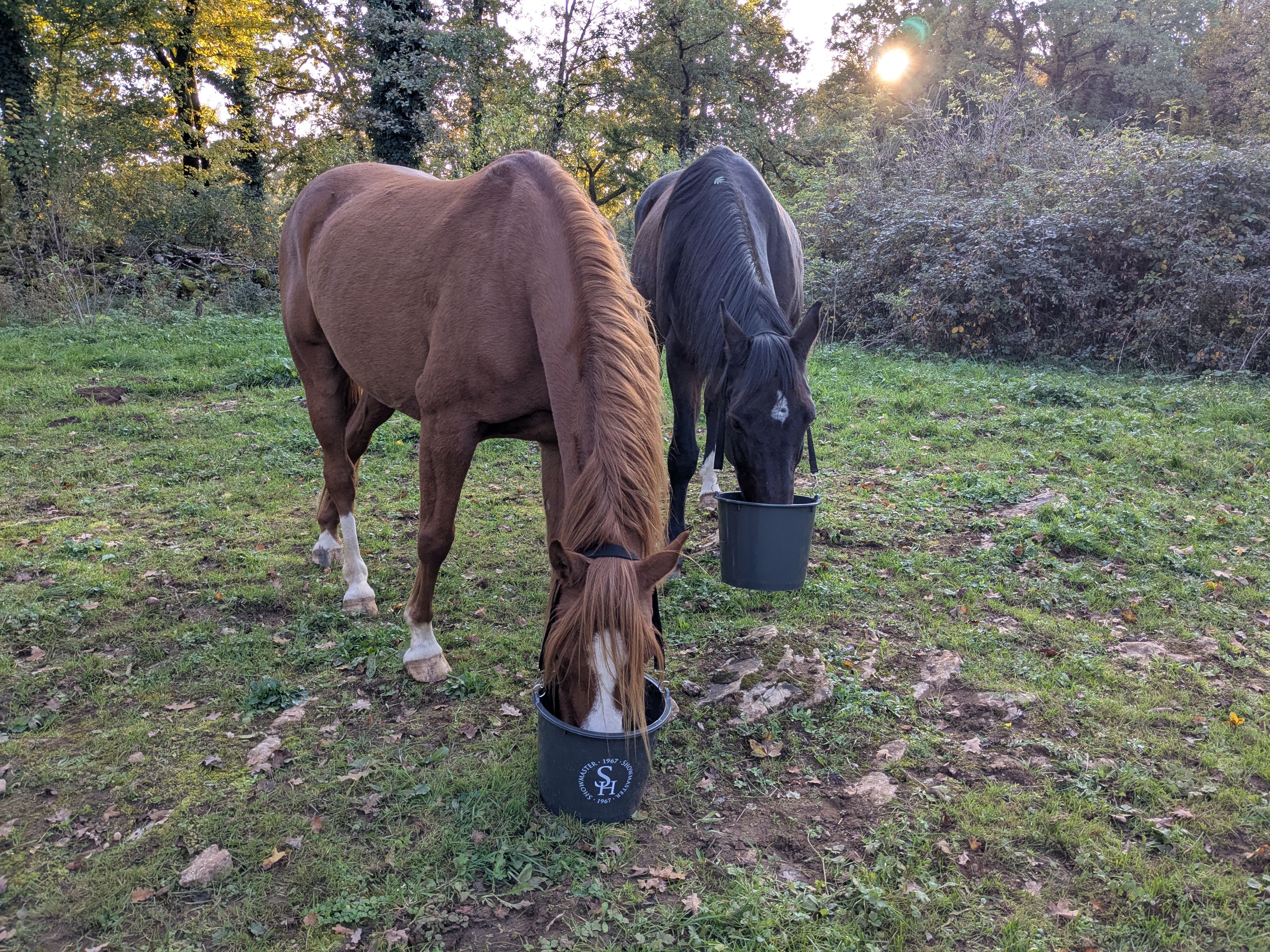 Veyko Dune Musette.jpg